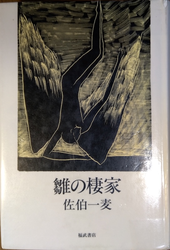 ���̐���